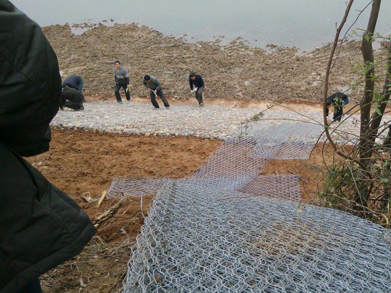 �������v�ʯ�\�W(w��ng)�D��(k��)